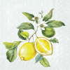 IHR Servetten - 25x25cm - lemon wreath mint 10351