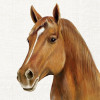 IHR Servetten - 33x33cm - farm horse 10477
