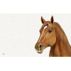 IHR Ontbijtplankje - 23.5x14.5cm - farm horse 10477