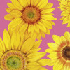 IHR Servetten - 33x33cm - sunflower 10486