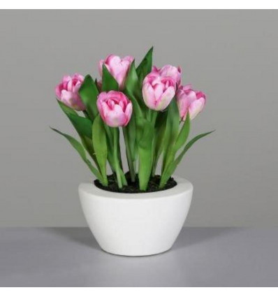 Tulpen in pot 26cm - roze