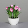 Tulpen in pot 26cm - roze