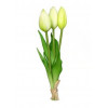 Tulpen bundel 24cm 3st. - wit/groen