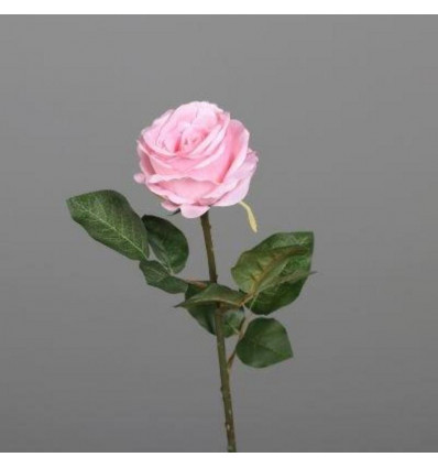 Roos 48cm - licht roze