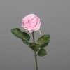 Roos 48cm - licht roze