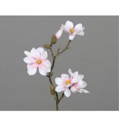Magnolia tak 40cm - roze
