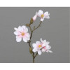 Magnolia tak 40cm - roze