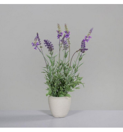 Lavendel 40cm - in grijze pot betonlook