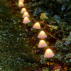 LUMINEO LED champignon stekers 20lampen