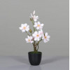 Magnolia 45cm - roze/cream - in zwarte pot