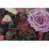 Fresh Exotics - Feestelijke deco 12x6x20cm - orchid pink droogbloem