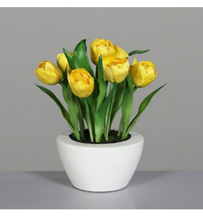Tulpen in pot 26cm - geel