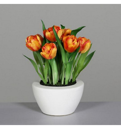 Tulpen in pot 26cm - oranje
