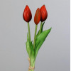 Tulpen bundel 24cm 3st. - rood
