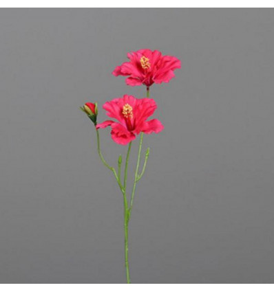 Hibiscus tak m/ 2 bloemen 63cm - roze