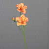 Hibiscus tak m/ 2 bloemen 63cm - oranje