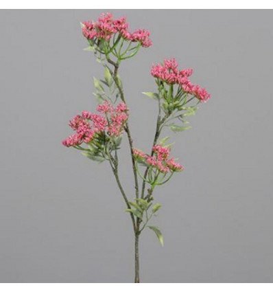 Anethum tak 69cm - roze