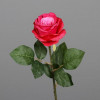 Roos 48cm - roze