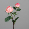 Roos 57cm - roze