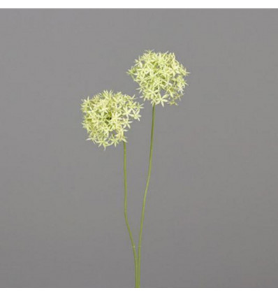 Allium 61cm - groen/cream