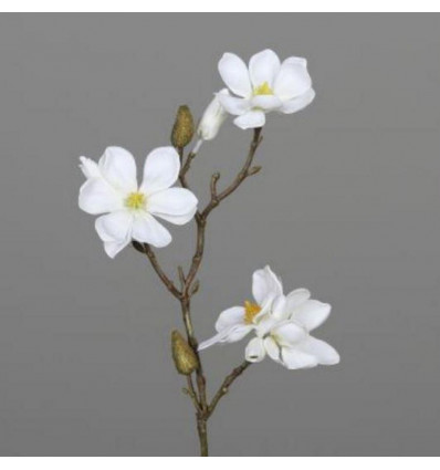Magnolia tak 40cm - cream