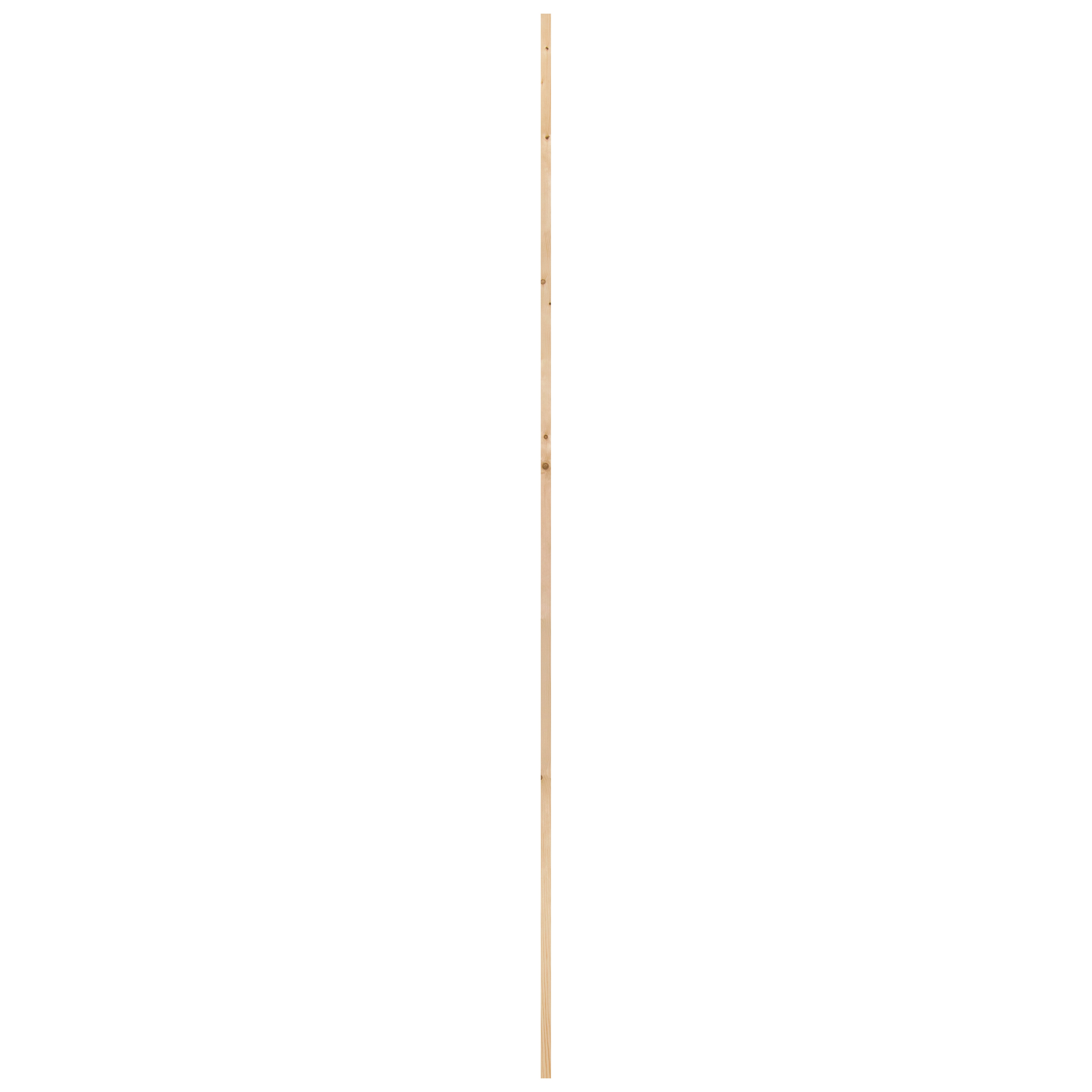 10742345-5.jpg