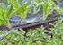 17990879-1.jpg
