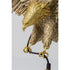 17176619-1.jpg