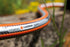 14305034-1.jpg