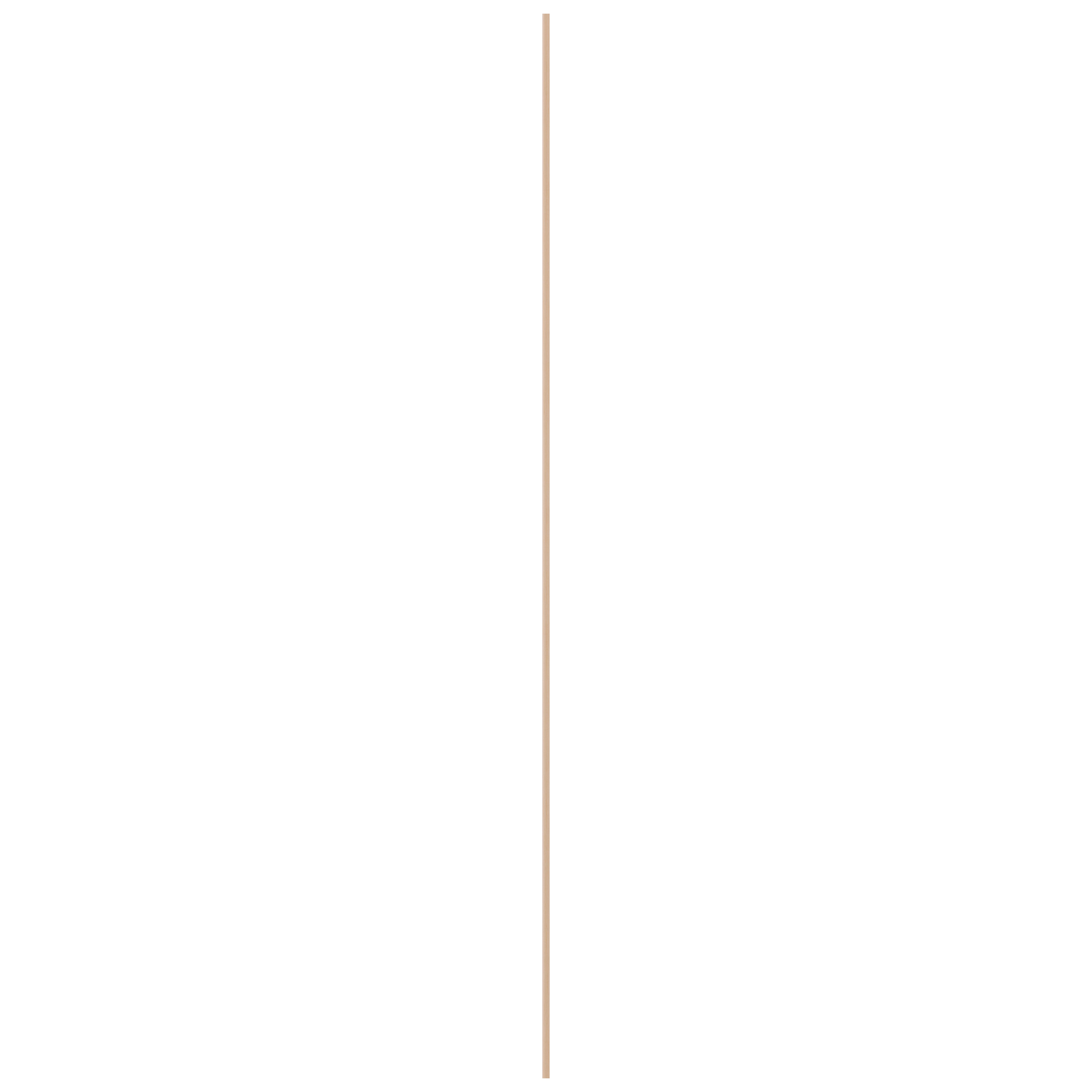 10085859-2.jpg