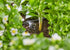 17991124-1.jpg