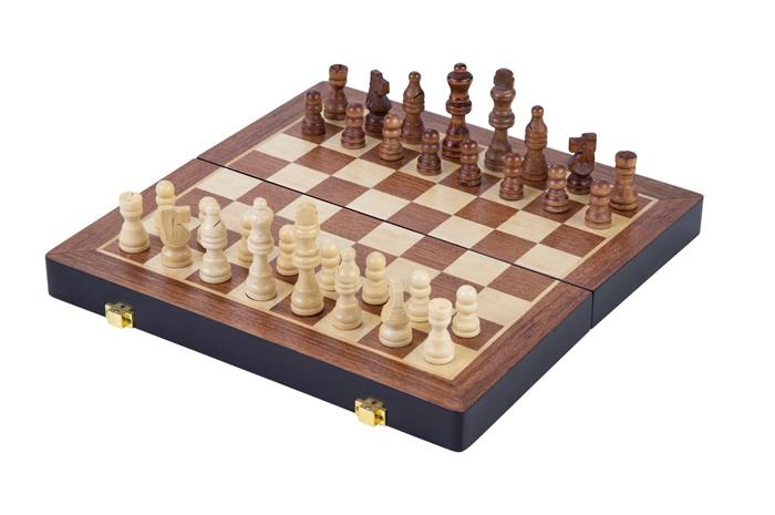 17503826.jpg
