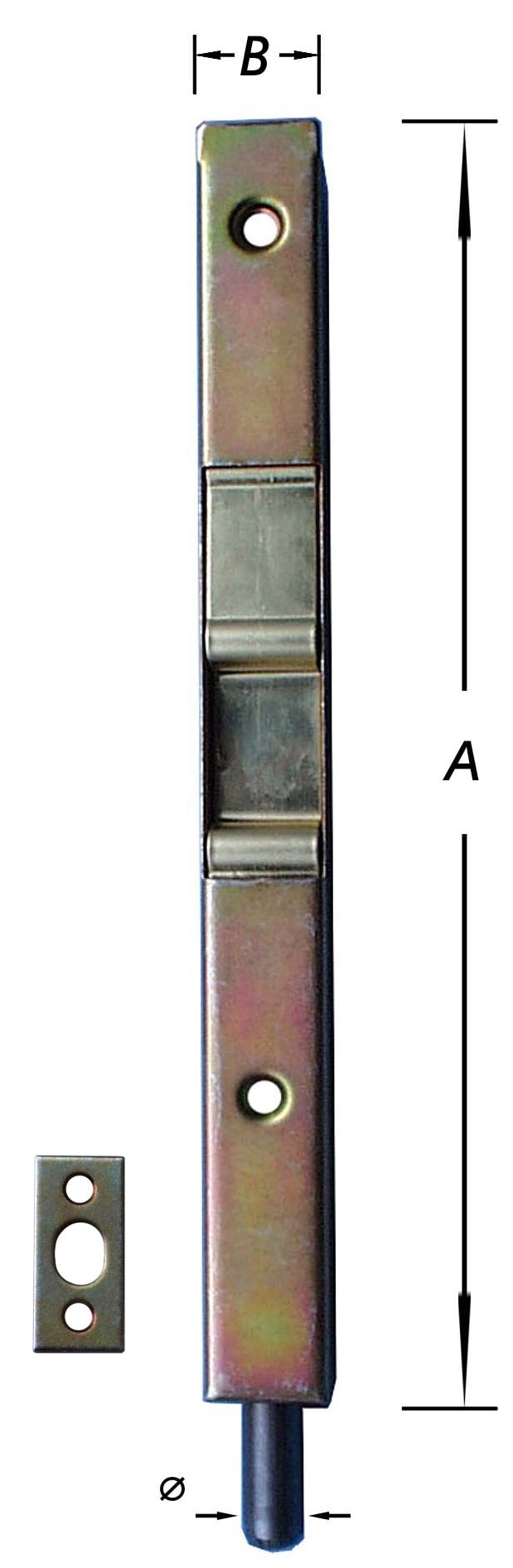 584955.jpg