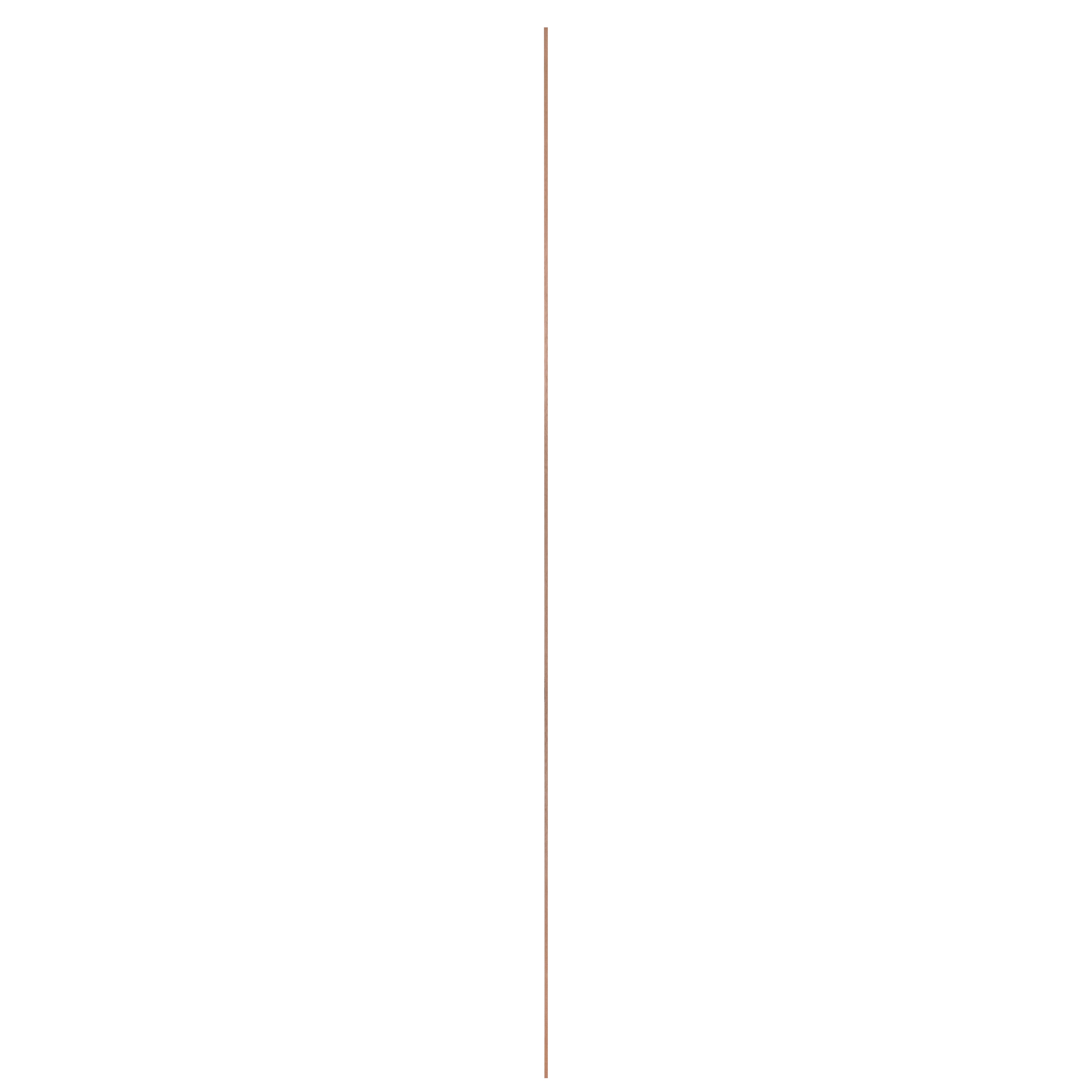11767165-2.jpg