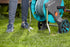 16728789-6.jpg