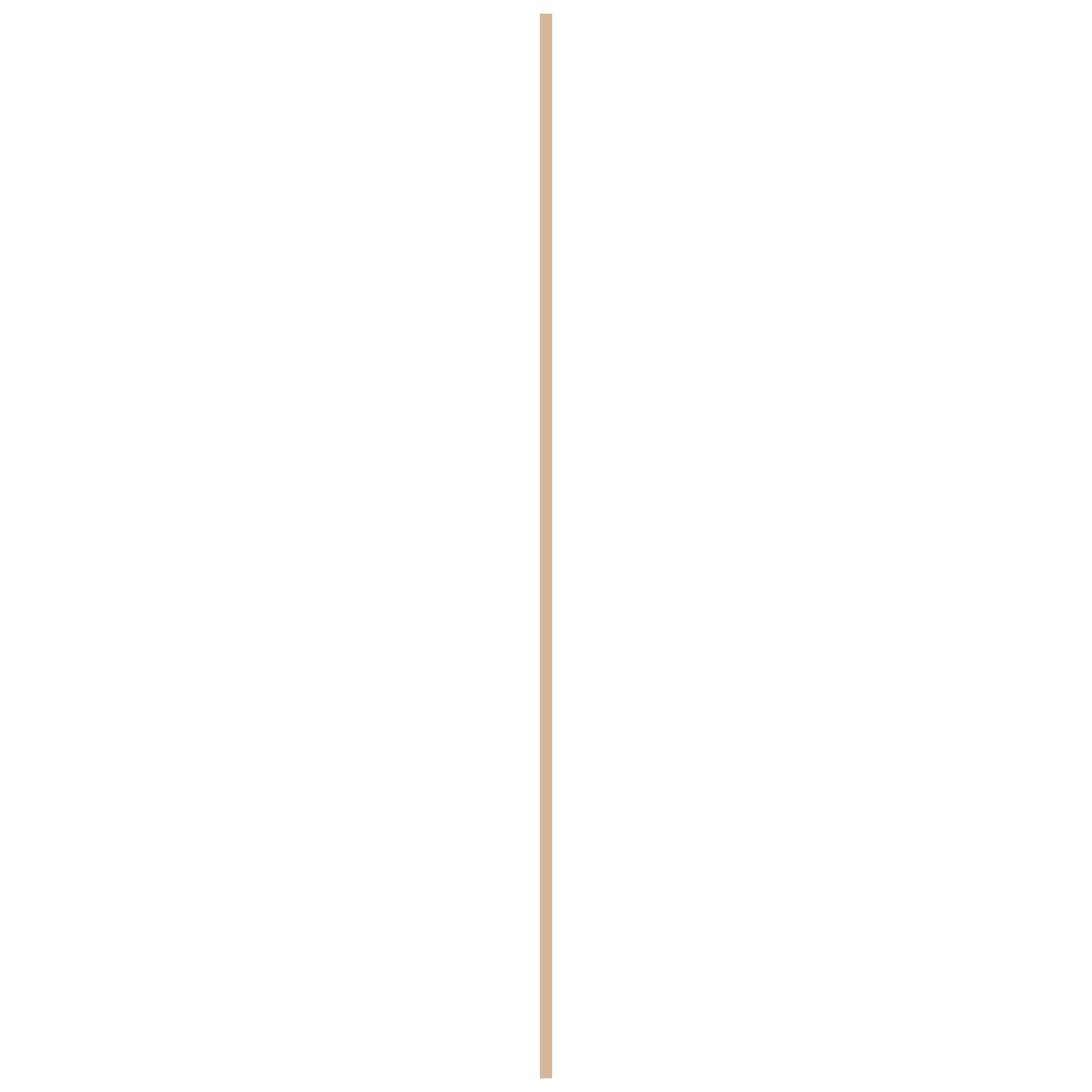 10742334-2.jpg