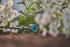 17991065-1.jpg