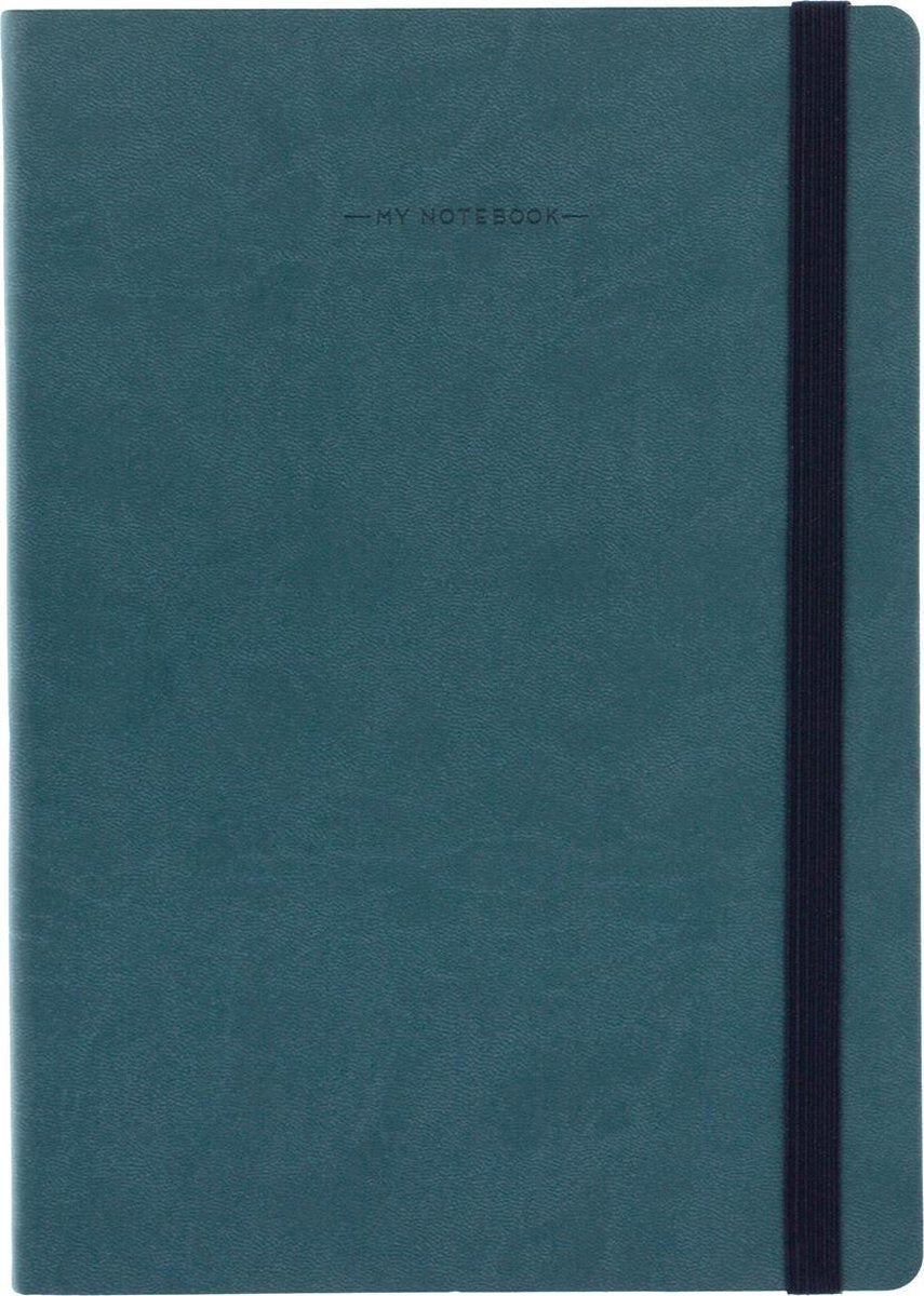 17174020.jpg