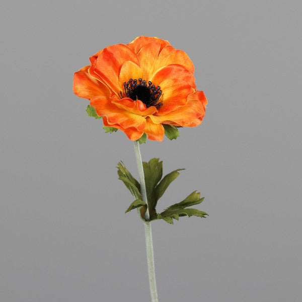 18179198.jpg