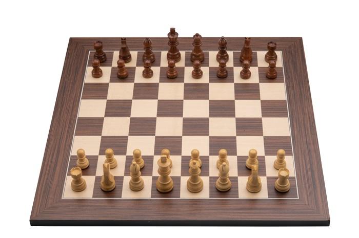 17558550.jpg