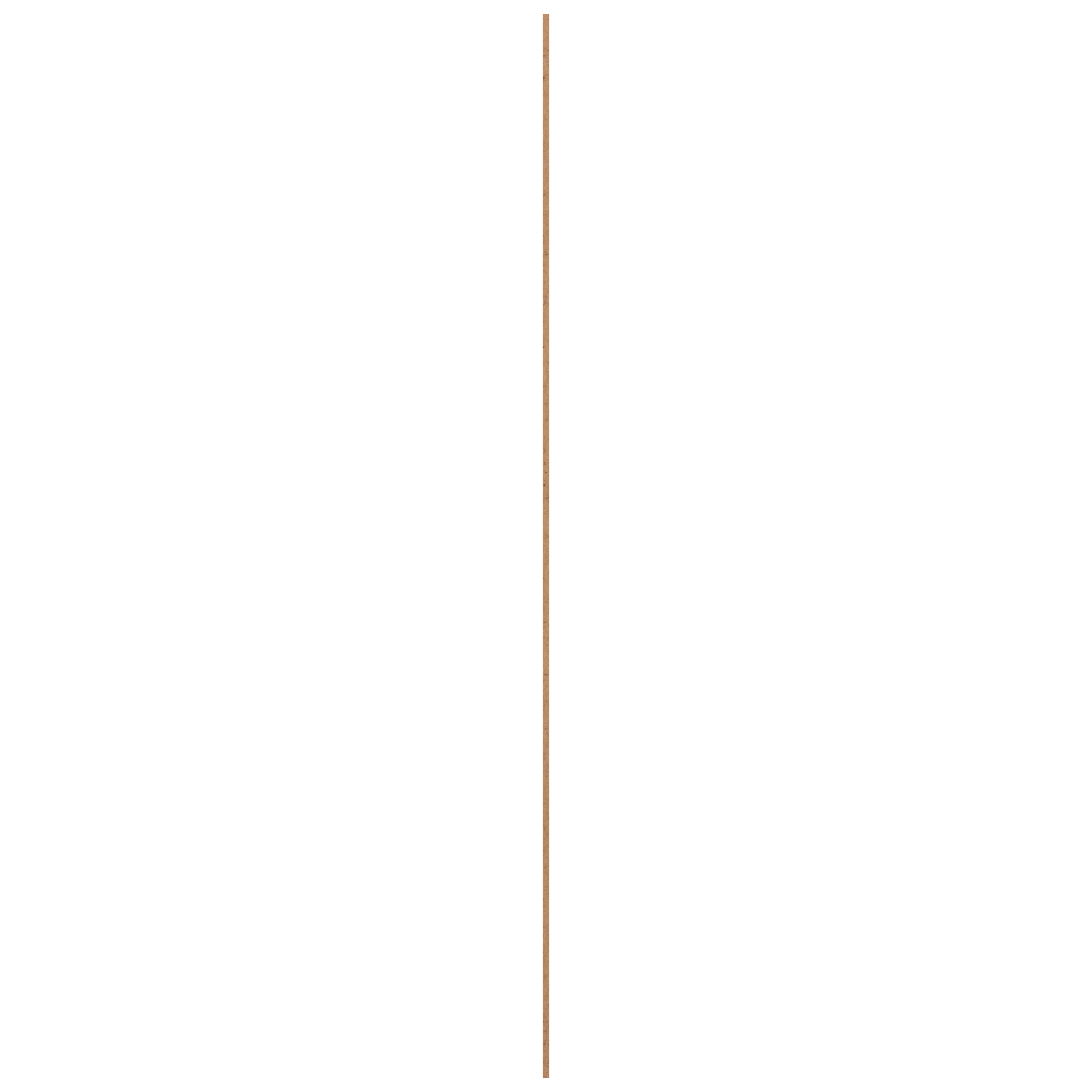 15235219-2.jpg