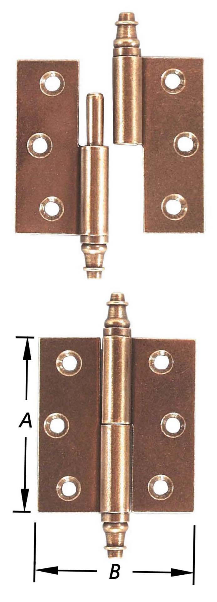 13620666.jpg