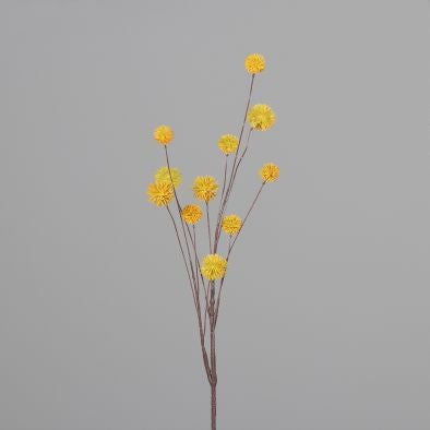 17408381.jpg