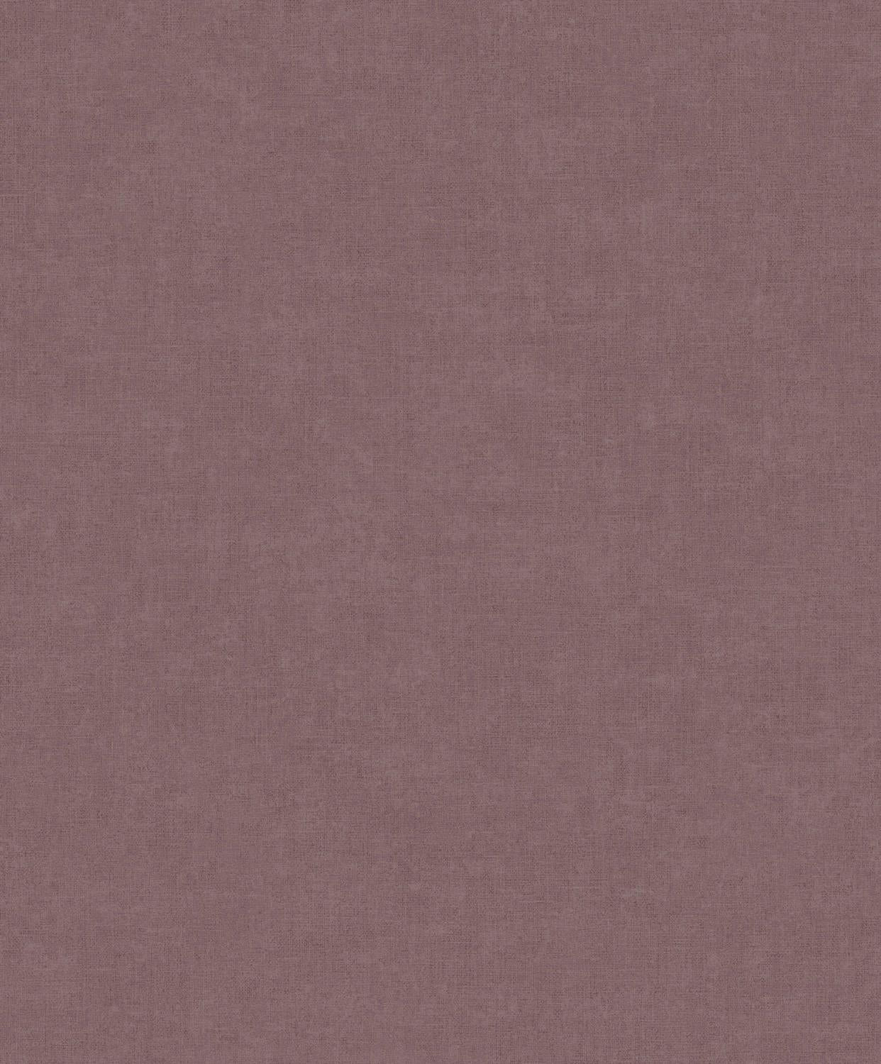 18329254.jpg