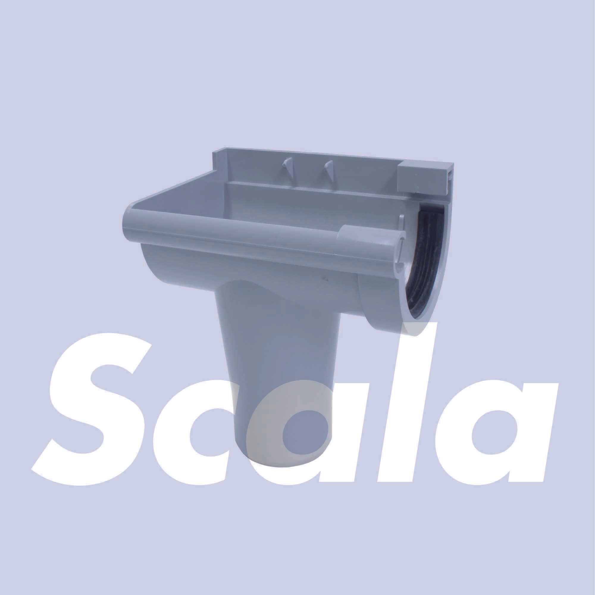 594589.jpg