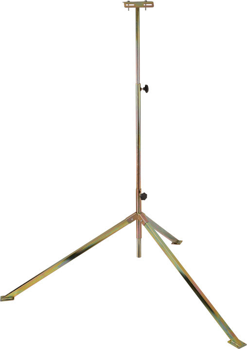 16670431.jpg