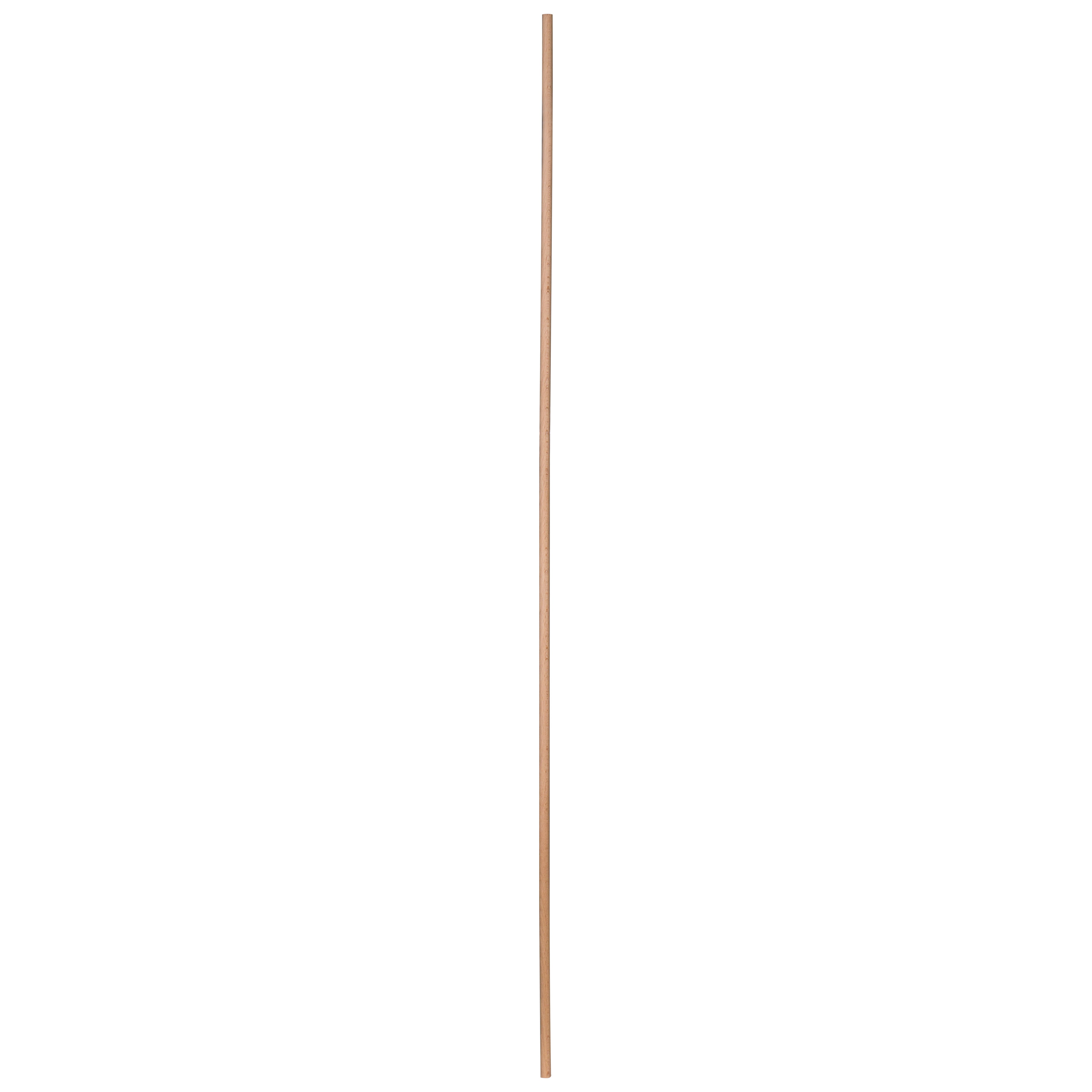 873334-5.jpg