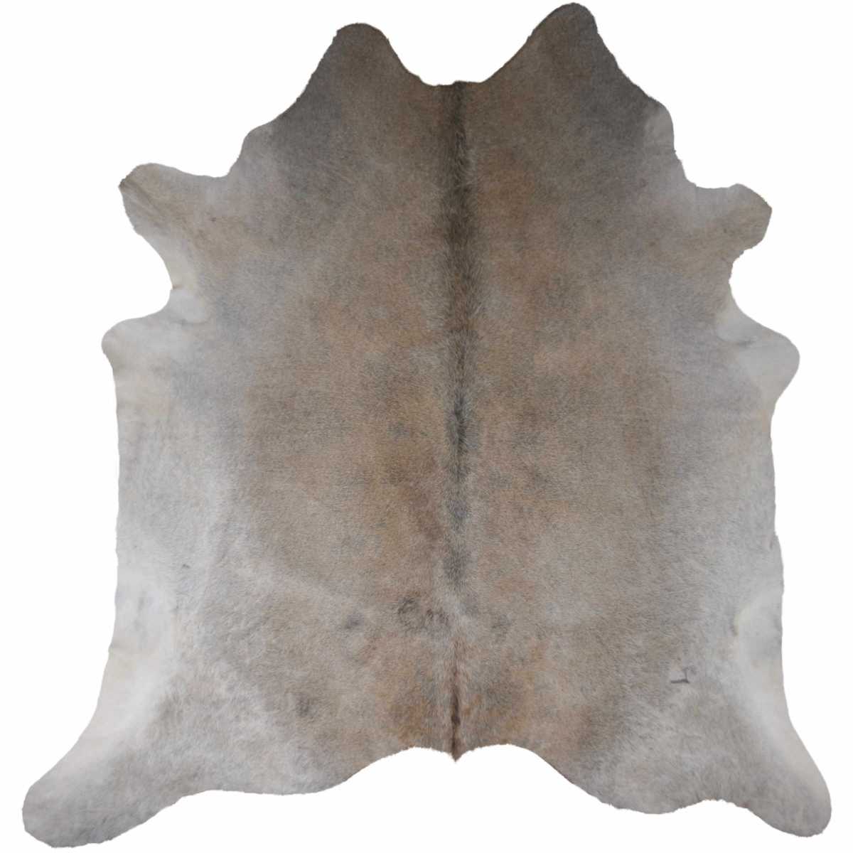 16996665.jpg