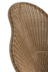 16377538-5.jpg