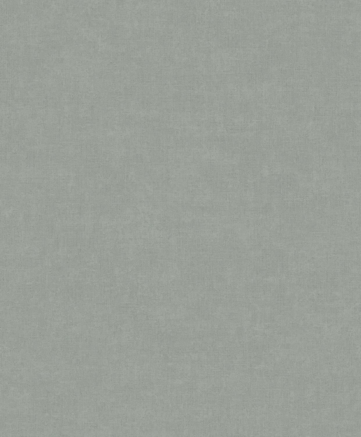 18516009.jpg